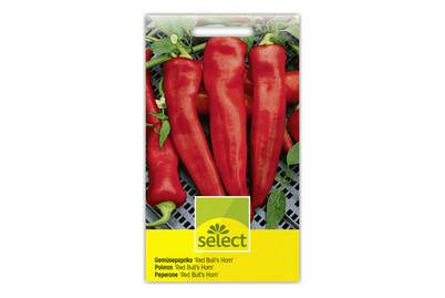 Image of Gemüsepaprika RED Bulls Horn bei JUMBO