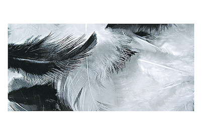 Image of Federmischung, 3-10 cm, SB-Btl. 10 g bei JUMBO