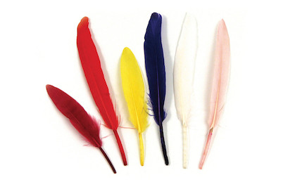 Image of Indianerfeder, 10,5 cm, SB-Btl. 24 Stück bei JUMBO