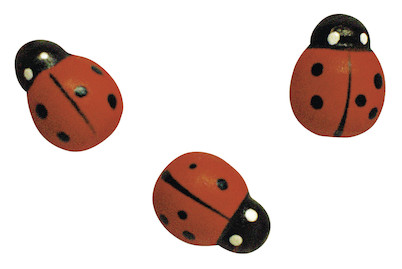 Image of Holzstreuteile : Marienkäfer, 1,5 cm, SB-Btl. 24 Stück bei JUMBO