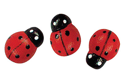 Image of Holzstreuteile: Marienkäfer, 1 cm, SB-Btl. 24 Stück bei JUMBO