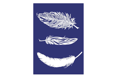 Image of Siebdruck-Schablone Federn, A5, 1 Schablone + Rakel, SB-Btl 1Stück bei JUMBO