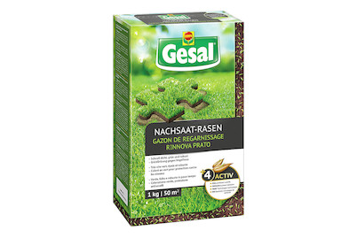 Image of Gesal Nachsaat-Rasen 1 kg