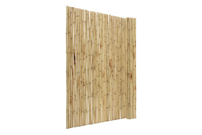 Image of Windhager Sichtschutzmatte Ontake 180x180 cm natur bei JUMBO