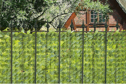 Image of Windhager Sichtschutzhecke Wein 150x300 cm bei JUMBO