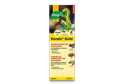 Image of Maag Kendo Gold 500Ml
