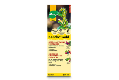 Image of Maag Kendo Gold 500Ml bei JUMBO