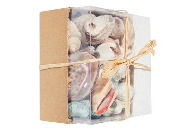 Image of Muschel-Mix klein ca. 430 g bei JUMBO