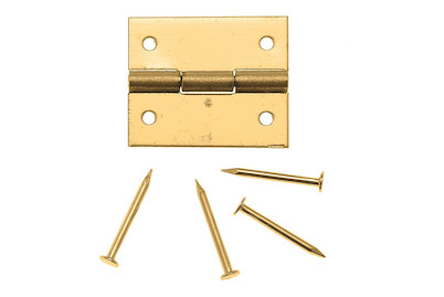 Image of Nagelscharnier 12x15 mm 4St mit Stiften bei JUMBO