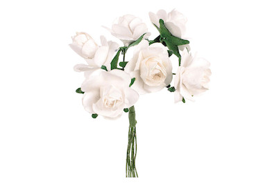 Image of Röschen 6 Blüten weiss bei JUMBO