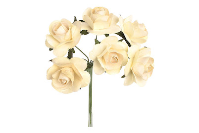 Image of Röschen 6 Blüten creme bei JUMBO