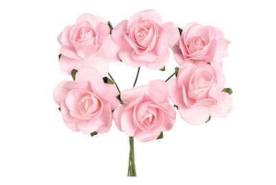Image of Röschen 6 Blüten pink bei JUMBO