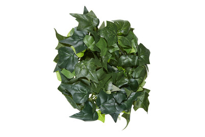 Image of Efeugirlande grün 195 cm bei JUMBO