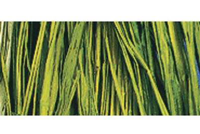 Image of Naturbast, Bündel 25 g bei JUMBO