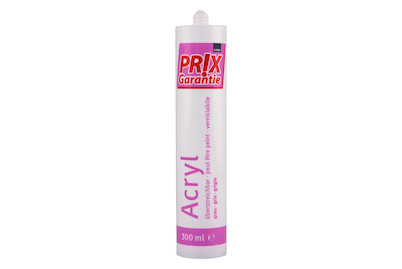 Image of Prix Garantie Acryl 300 ml grau bei JUMBO