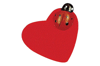 Image of Holzstreuteile: Herz mit Käfer, 2,5 cm, SB-Btl. 12 Stück bei JUMBO