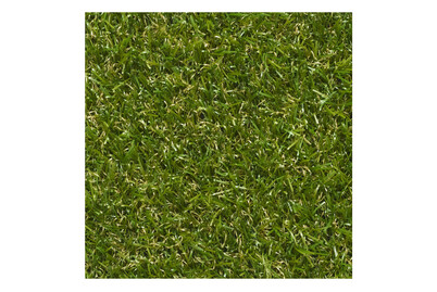 Image of Kunstrasen Caddy 2 m grün bei JUMBO