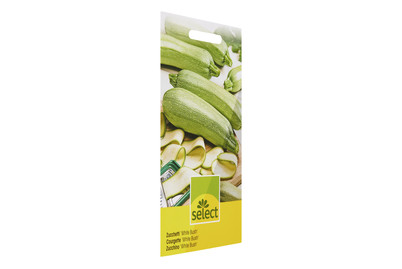Image of Zucchetti White Bush bei JUMBO
