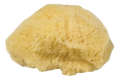 Image of Naturschwamm Set Grass,fein-u.grossporig, 6-7,5 cm, SB-Btl. 3 Stück bei JUMBO