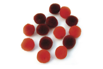 Image of Pompons, 15mm ø, SB-Btl 60Stück bei JUMBO