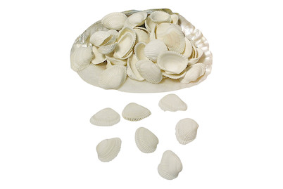 Image of Clovis-Muscheln in Perlmuttschale bei JUMBO