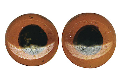 Image of Glastieraugen zum Aufnähen, ø12mm, SB-Btl 10Stück bei JUMBO