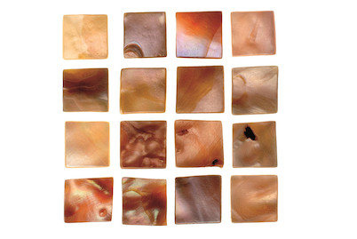 Image of Perlmutt-Mosaik bei JUMBO