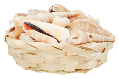 Image of Muschelmix 150 g 10 cm bei JUMBO