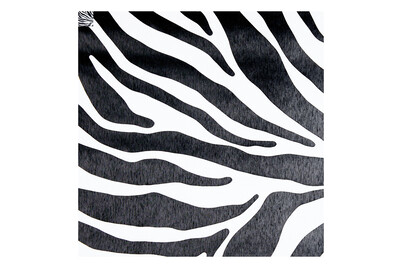 Image of Gekkofix Dekorfolie Zebra bei JUMBO
