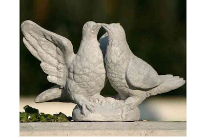 Image of Taubenpaar weiss bei JUMBO