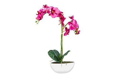 Image of Künstliche Orchidee in Keramik-schale 65 cm rot lila