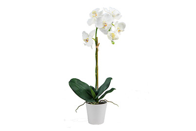 Image of Künstliche Orchidee in Topf 65 cm weiss bei JUMBO