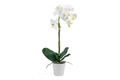 Image of Künstliche Orchidee in Topf 65 cm weiss