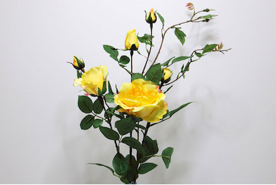 Image of Rose verzweigt 101 cm gelb