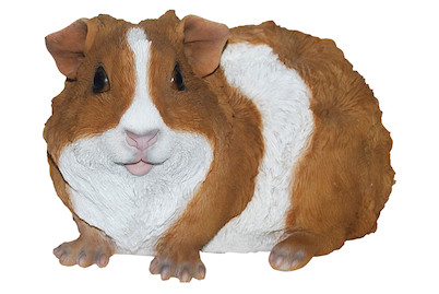 Image of Meerschweinchen ass. 3 Farben bei JUMBO