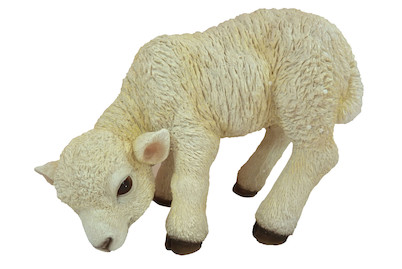 Image of Lamm grasend 21 cm weiss bei JUMBO