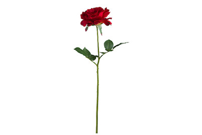 Image of Rose gefüllt 69 cm rot