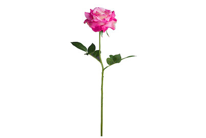 Image of Rose gefüllt 69 cm pink bei JUMBO