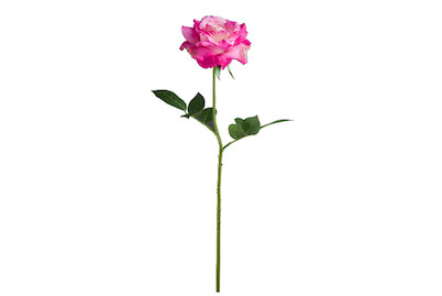 Image of Rose gefüllt 69 cm pink