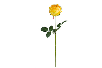 Image of Rose gross gefüllt 69 cm gelb