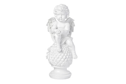 Image of Engel Amia bei JUMBO