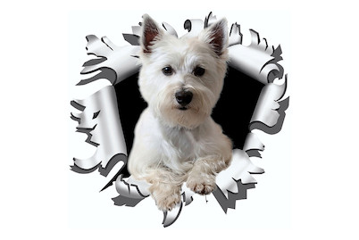 Image of Sticker Einschussloch Westi bei JUMBO