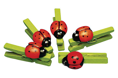 Image of Marienkäfer auf Holzklammer, 3 cm, SB-Btl. 12 Stück bei JUMBO