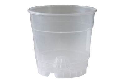 Image of Orchideen-Kulturtopf ø 12 cm bei JUMBO