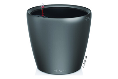 Image of Lechuza Classico Premium LS 35 anthrazit bei JUMBO