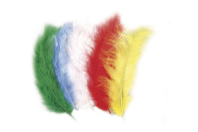 Image of Flauschfeder-Mischung, 10-15cm, SB-Btl 15Stück bei JUMBO