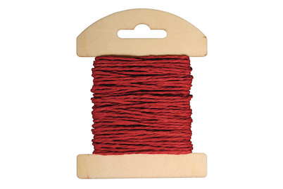 Image of Papier Kordel, 1,2mm ø, auf Holzkarte, 10m bei JUMBO