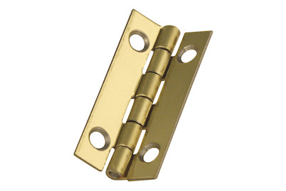 Image of Schatullenscharniere, 30x15 mm, verm. SB-Btl.4 St. m. Schrauben bei JUMBO