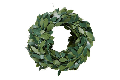 Image of Buchsgirlande mini grün 3m bei JUMBO