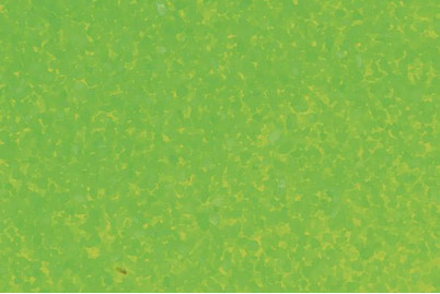 Image of Deco-Sand 480 g grün bei JUMBO